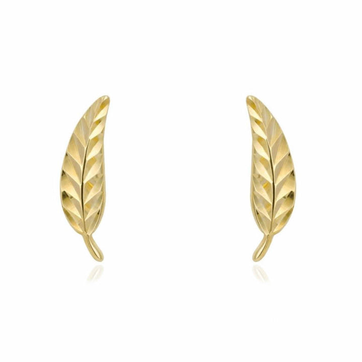 9ct Gold Feather Stud Earrings