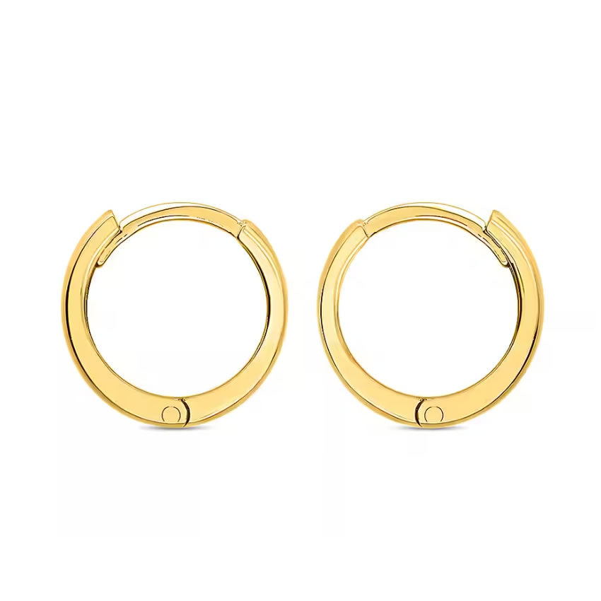 9ct Gold Small Hinged Hoop Earrings