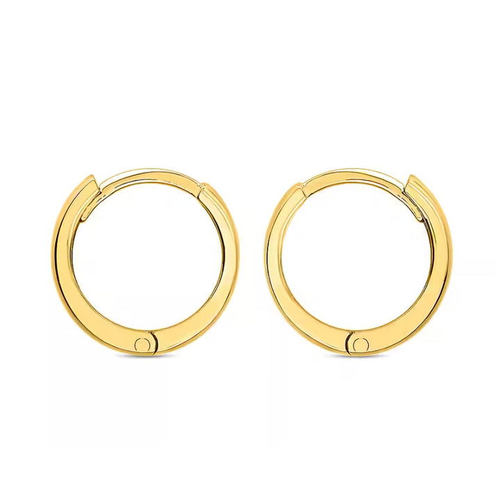 9ct Gold Small Hinged Hoop Earrings