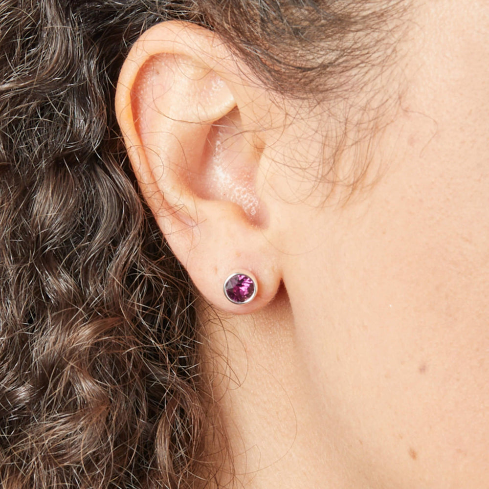 Silver Crystal Birthstone Stud Earrings (February)