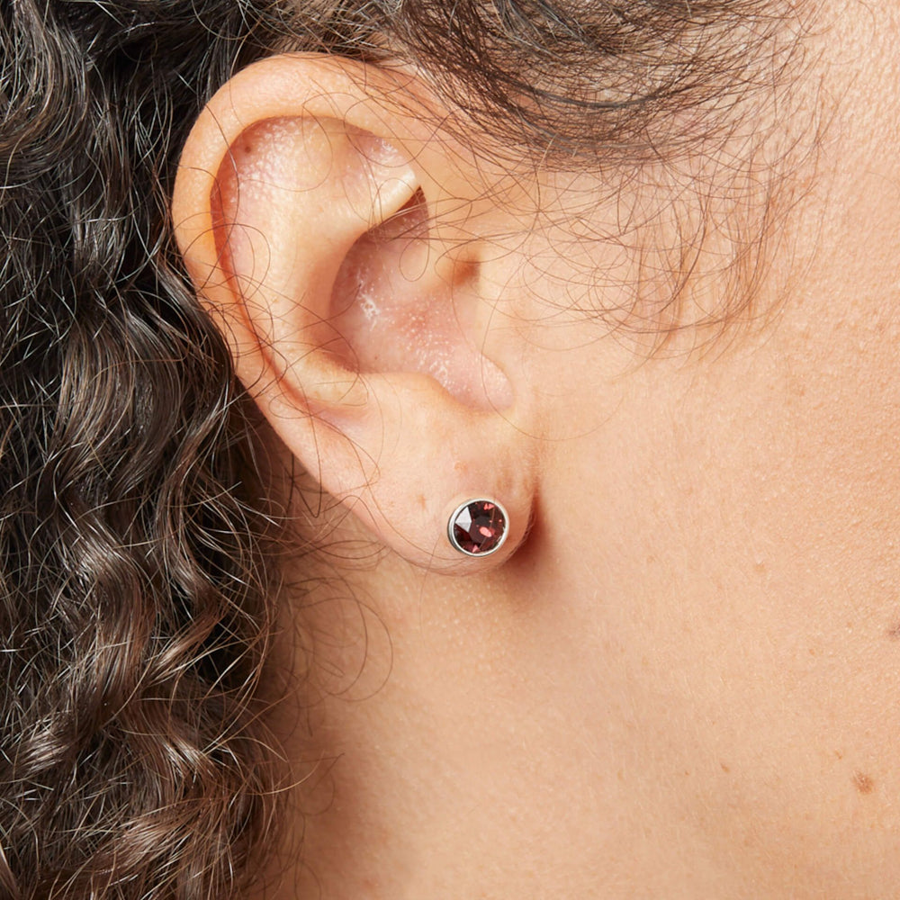 Silver Crystal Birthstone Stud Earrings (January)